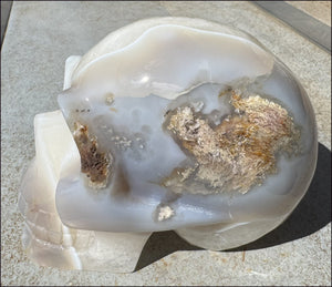 ~Super Sale~ LifeSize Plume Agate GEODE Crystal skull with STUNNING huge Vug, Hematite, Rainbows, Dendritic inclusions