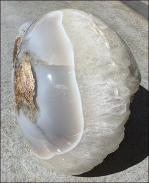 ~Super Sale~ LifeSize Plume Agate GEODE Crystal skull with STUNNING huge Vug, Hematite, Rainbows, Dendritic inclusions