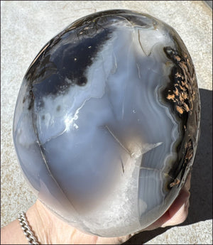 ~Super Sale~ LifeSize Agate GEODE Crystal Skull with Lovely "Floral" Matrix - 11lbs+