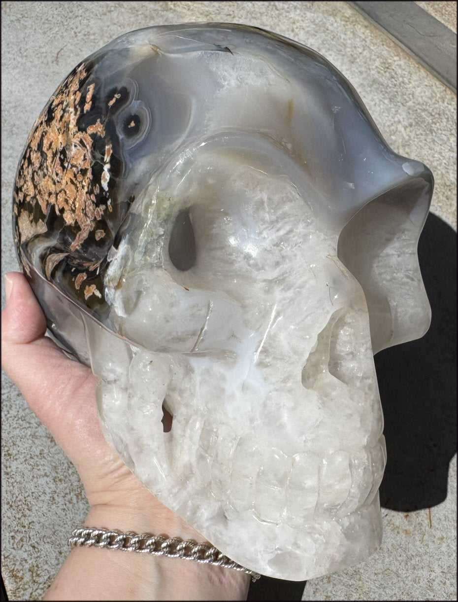 ~Super Sale~ LifeSize Agate GEODE Crystal Skull with Lovely "Floral" Matrix - 11lbs+