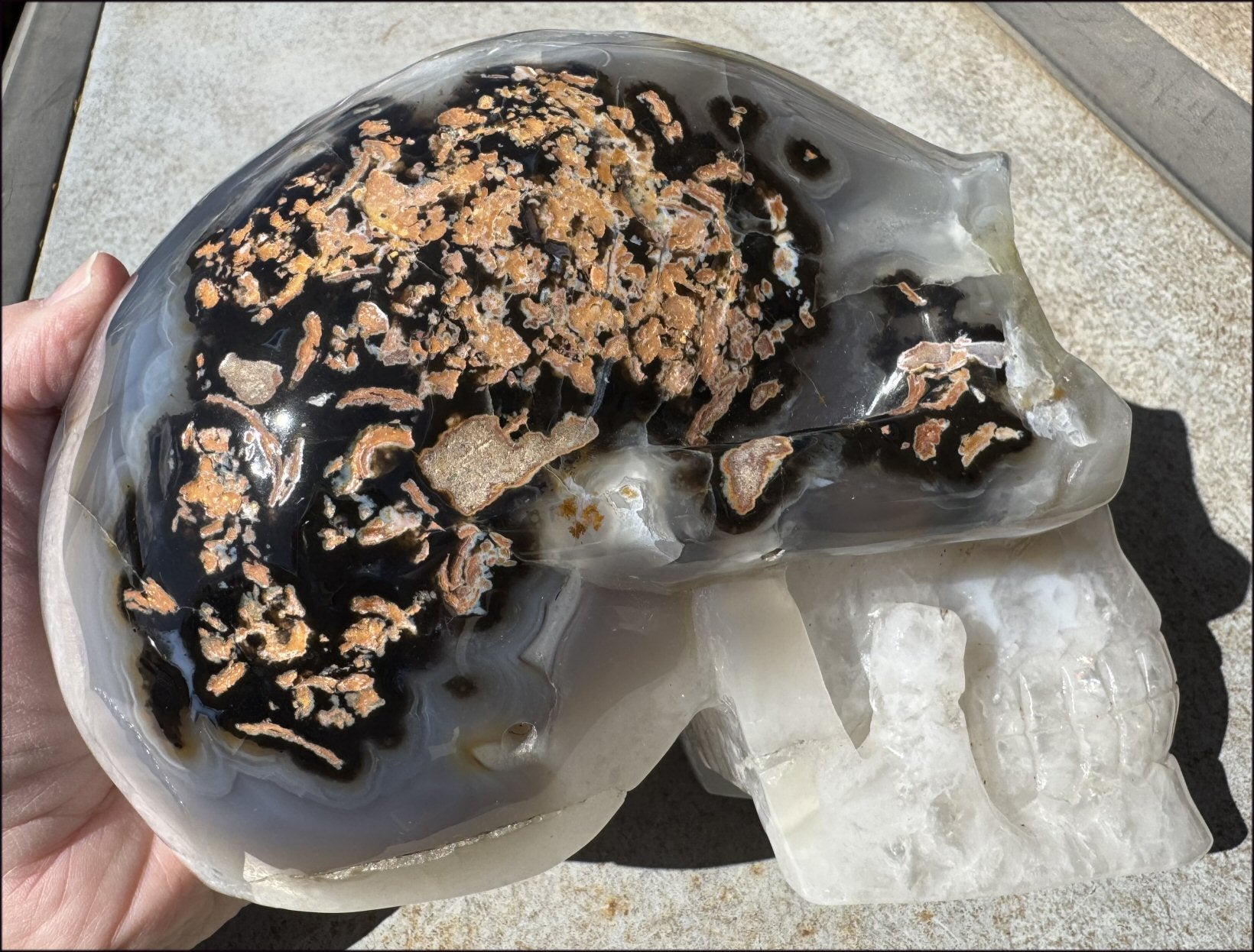 ~Super Sale~ LifeSize Agate GEODE Crystal Skull with Lovely "Floral" Matrix - 11lbs+