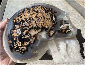 ~Super Sale~ LifeSize Agate GEODE Crystal Skull with Lovely "Floral" Matrix - 11lbs+