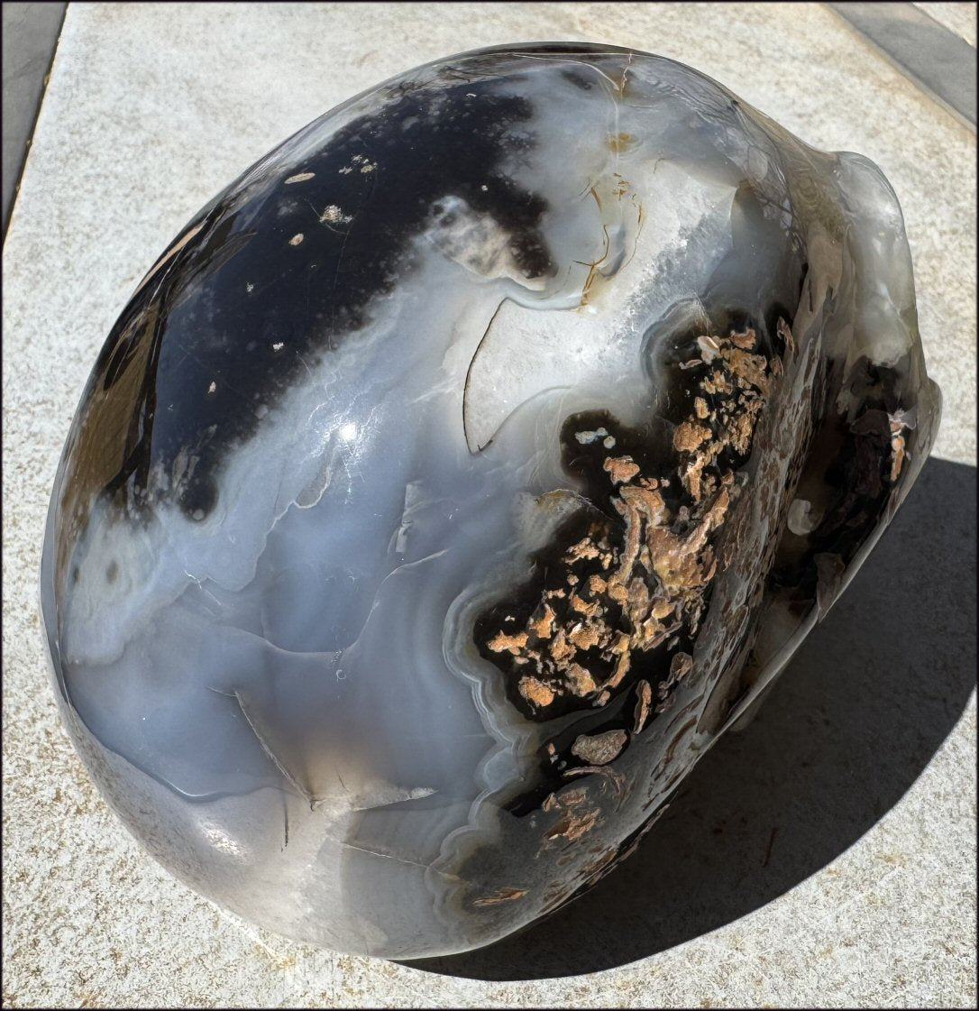 ~Super Sale~ LifeSize Agate GEODE Crystal Skull with Lovely "Floral" Matrix - 11lbs+