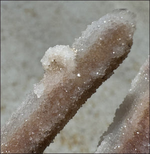 ~Old Stock~ Spirit Quartz Crystal Cluster with Amethyst - with Synergy 20+ yrs