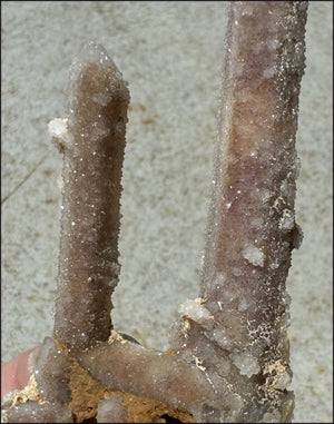 ~Old Stock~ Spirit Quartz Crystal Cluster with Amethyst - with Synergy 20+ yrs