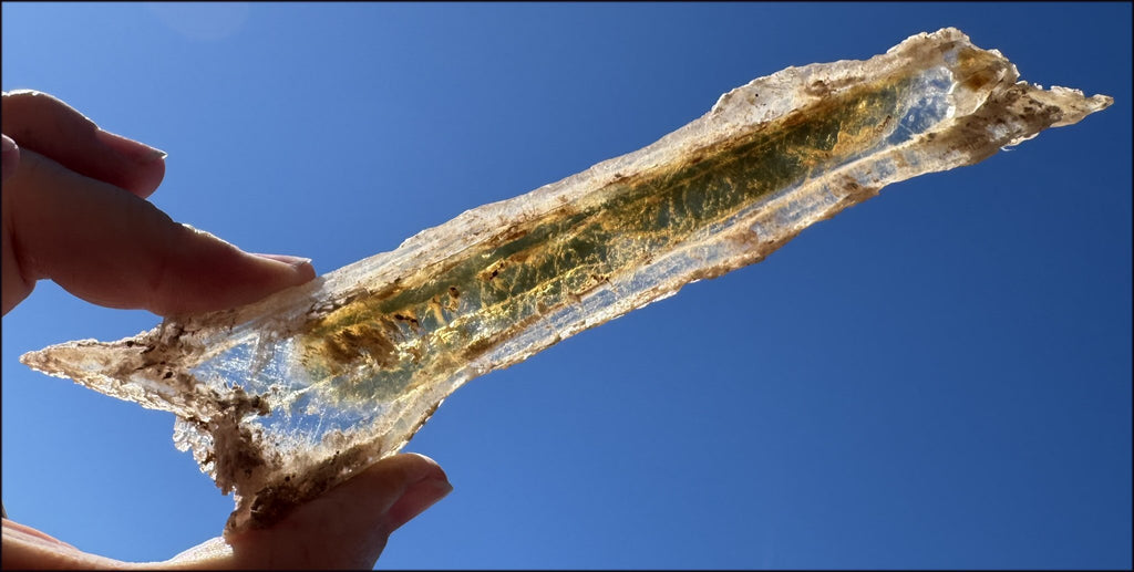 ~Unusual!~ 7.75" St. David Selenite Crystal Specimen from St. David, AZ