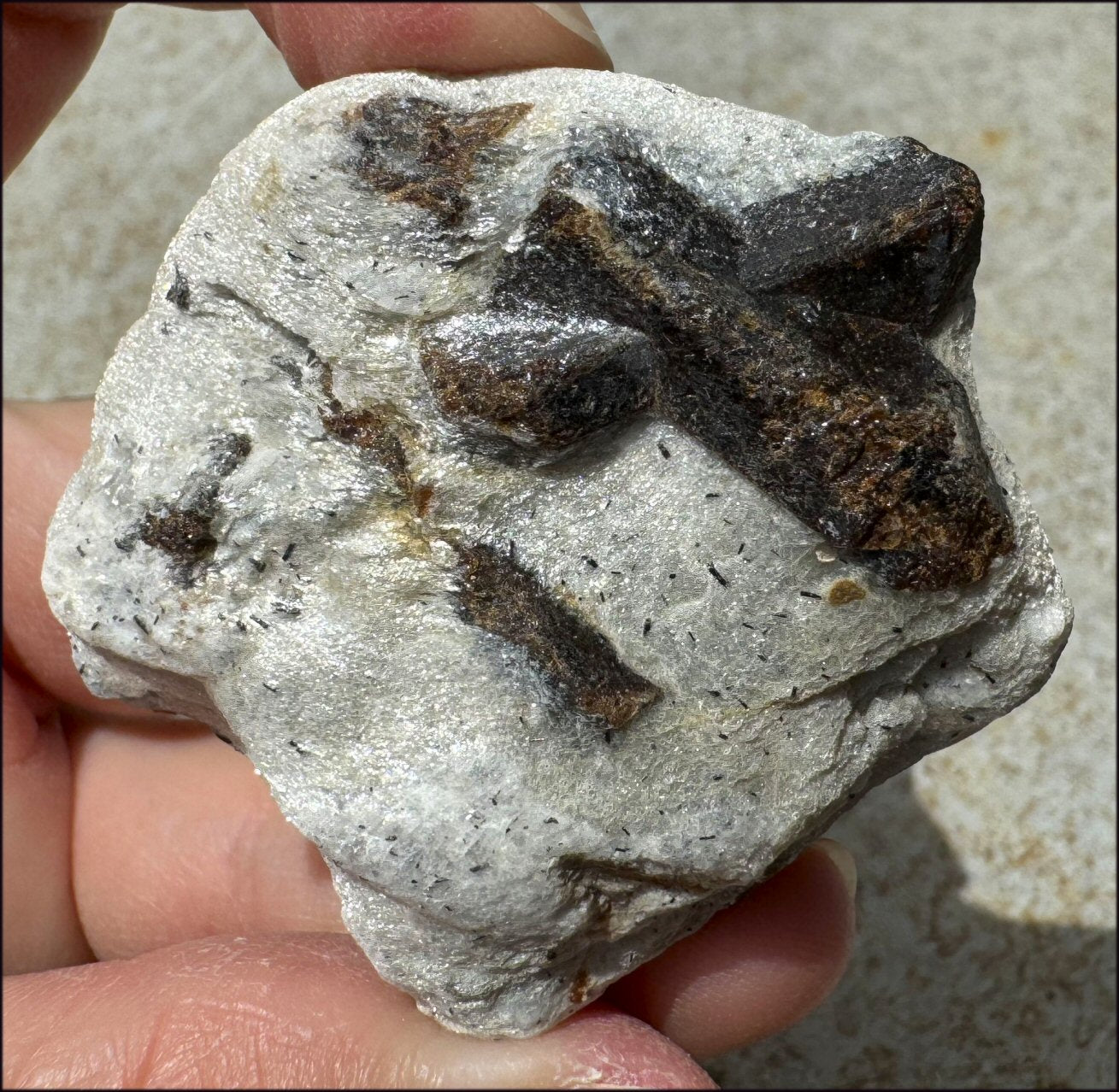 STAUROLITE Crystal Specimen in Matrix - Dream Work - with Synergy 4+ yrs