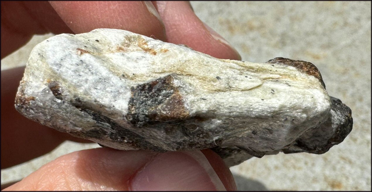 STAUROLITE Crystal Specimen in Matrix - Dream Work - with Synergy 4+ yrs