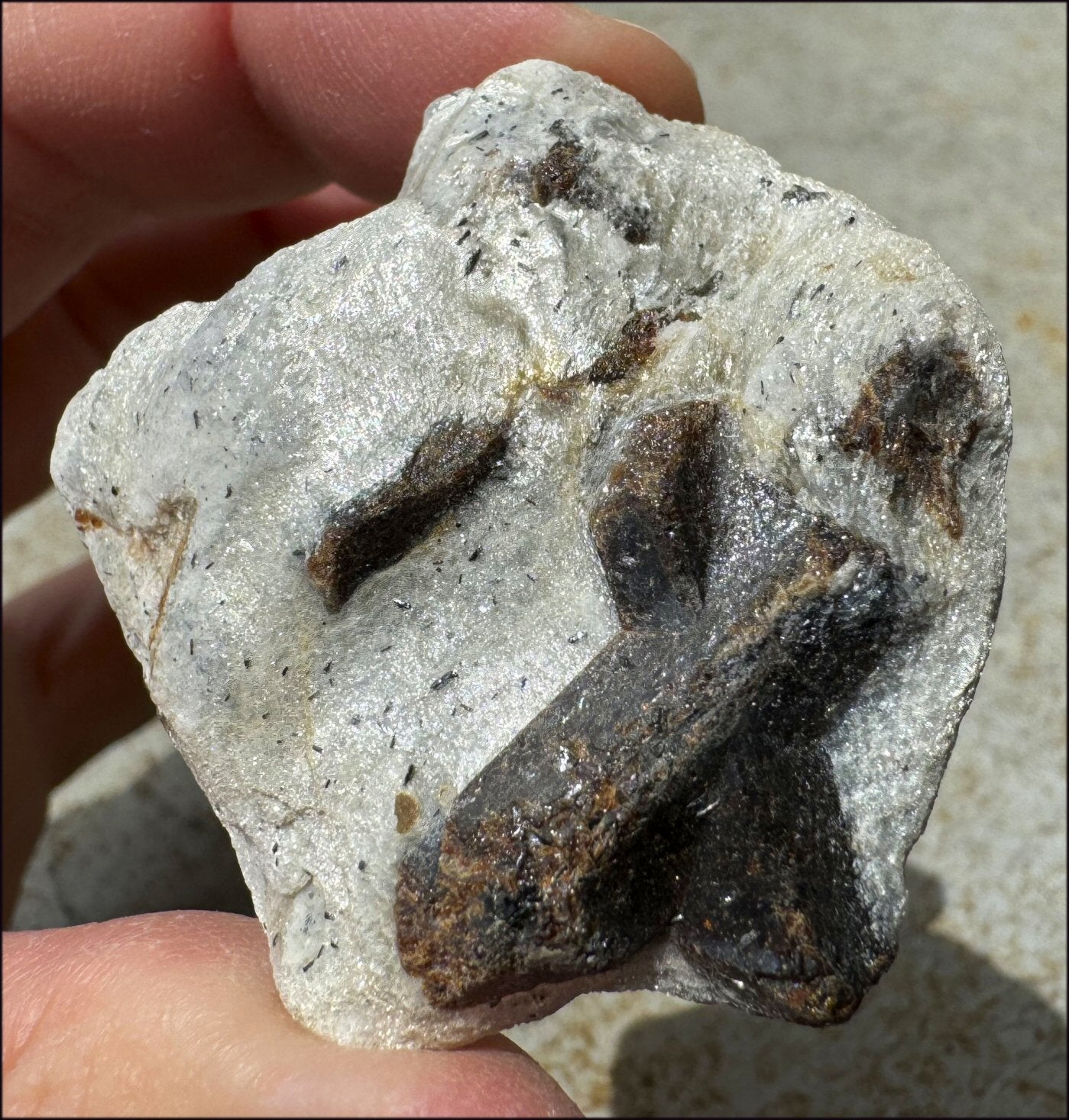 STAUROLITE Crystal Specimen in Matrix - Dream Work - with Synergy 4+ yrs