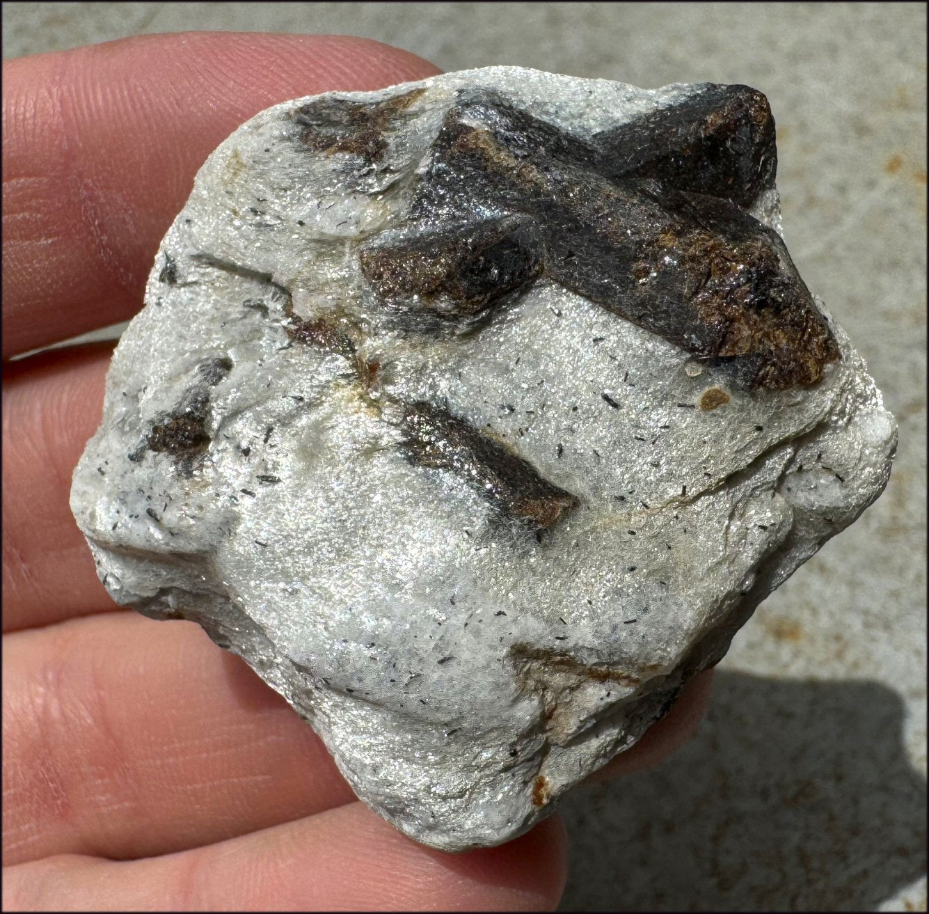 STAUROLITE Crystal Specimen in Matrix - Dream Work - with Synergy 4+ yrs