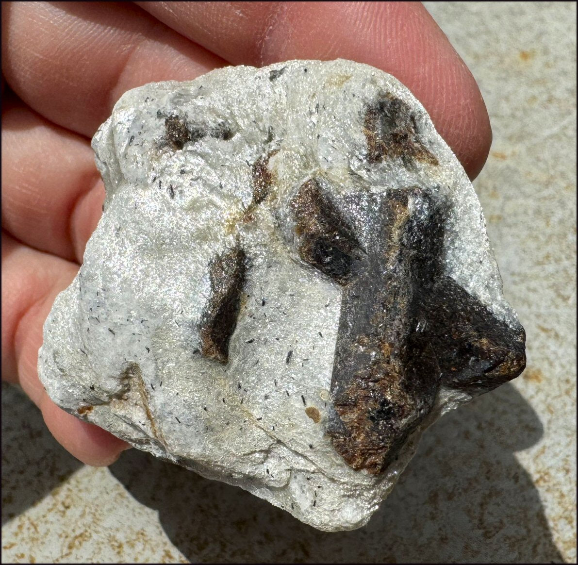 STAUROLITE Crystal Specimen in Matrix - Dream Work - with Synergy 4+ yrs