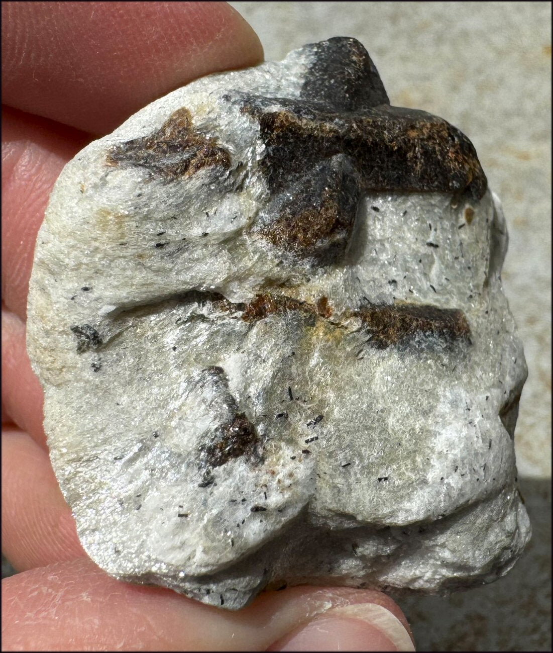 STAUROLITE Crystal Specimen in Matrix - Dream Work - with Synergy 4+ yrs