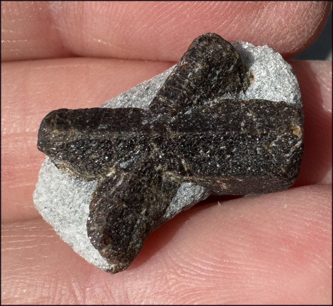 ~Super Cute~ Small STAUROLITE Crystal Specimen in Matrix - Positivity, Dream Work