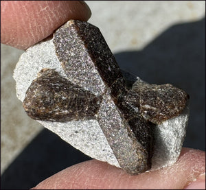 ~Super Cute~ Small STAUROLITE Crystal Specimen in Matrix - Positivity, Dream Work