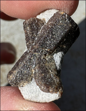 ~Super Cute~ Small STAUROLITE Crystal Specimen in Matrix - Positivity, Dream Work