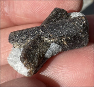 ~Super Cute~ Small STAUROLITE Crystal Specimen in Matrix - Positivity, Dream Work