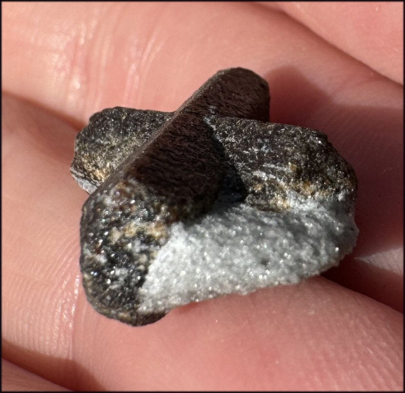 ~Super Cute~ Small STAUROLITE Crystal Specimen in Matrix - Positivity, Dream Work