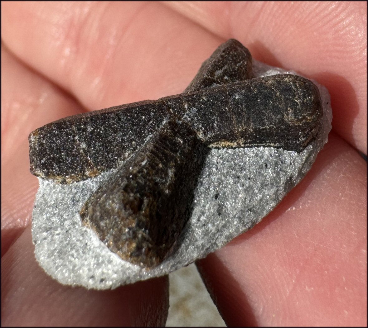 ~Super Cute~ Small STAUROLITE Crystal Specimen in Matrix - Positivity, Dream Work