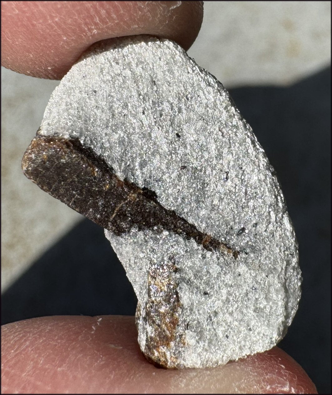 ~Super Cute~ Small STAUROLITE Crystal Specimen in Matrix - Positivity, Dream Work