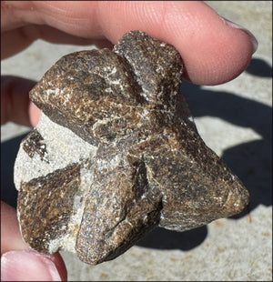 STAUROLITE Crystal Specimen in Matrix - Dream Work - with Synergy 4+ years