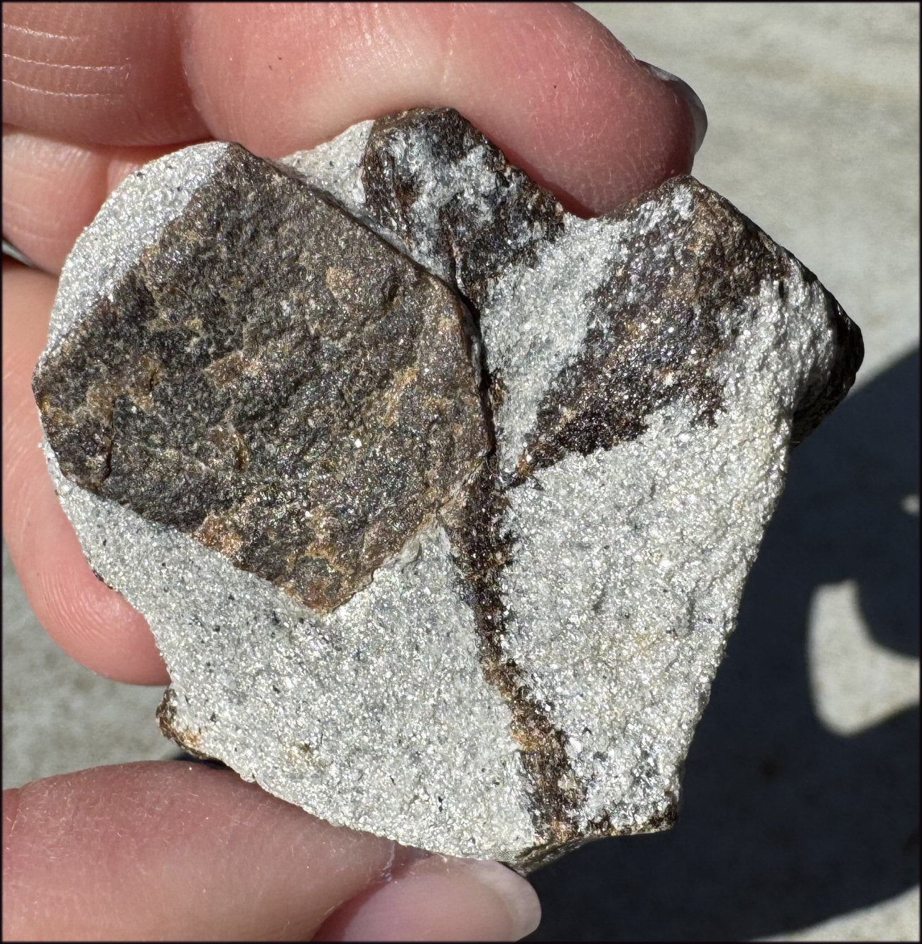 STAUROLITE Crystal Specimen in Matrix - Dream Work - with Synergy 4+ years