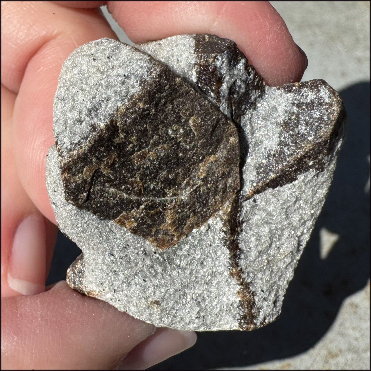 STAUROLITE Crystal Specimen in Matrix - Dream Work - with Synergy 4+ years