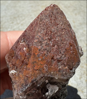 Thunder Bay Amethyst Crystal Shard w/ Vivid Hematite Caps - Clarity, Grounding