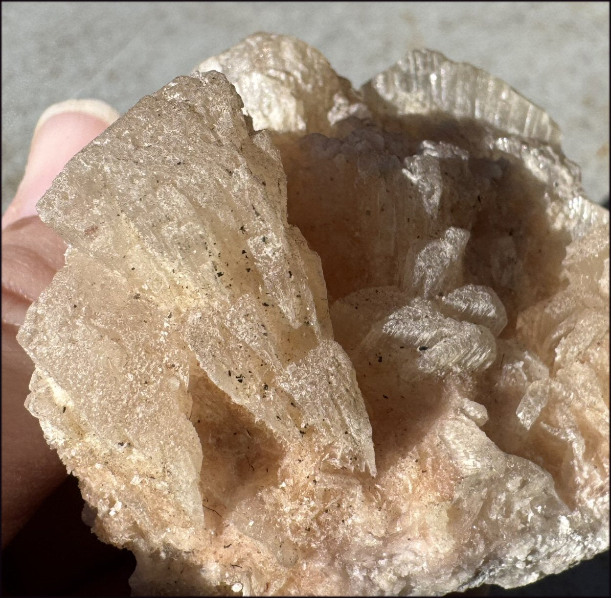 ~NEW~ Trona Specimen from Inyo Co. CA - Protection, Purification