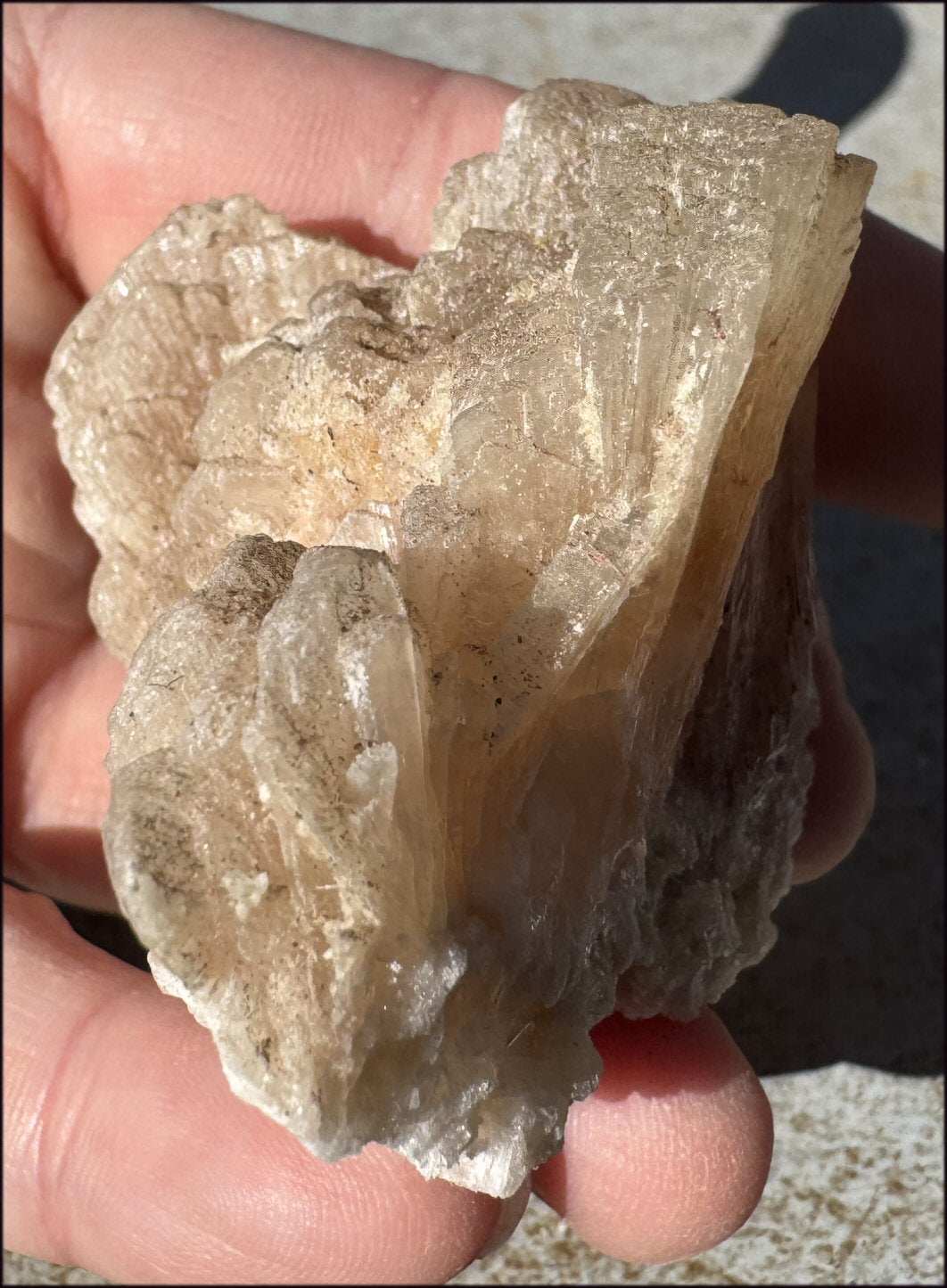 ~NEW~ Trona Specimen from Inyo Co. CA - Protection, Purification