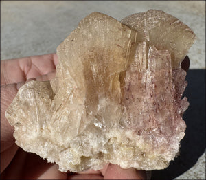 ~NEW~ Trona Specimen from Inyo Co. CA - Protection, Purification