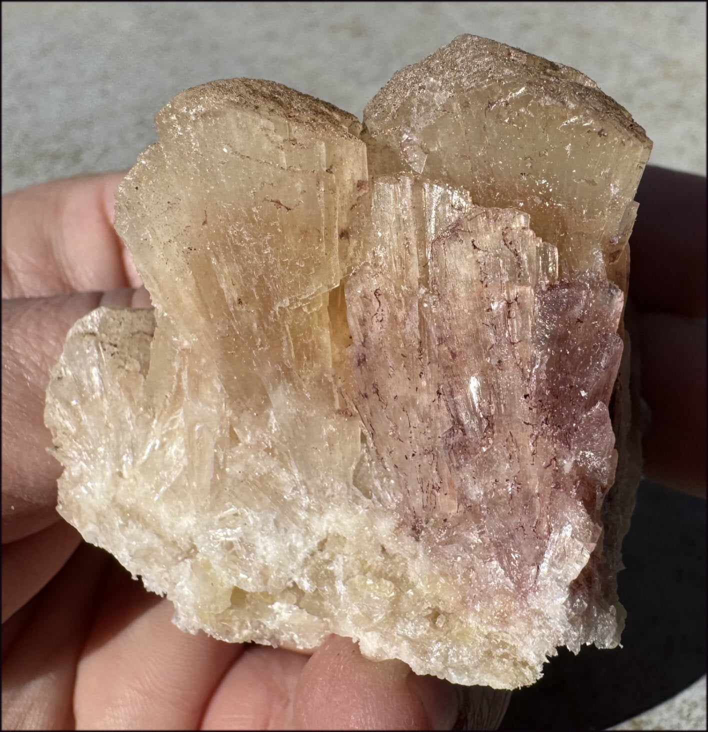 ~NEW~ Trona Specimen from Inyo Co. CA - Protection, Purification