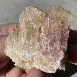 ~NEW~ Trona Specimen from Inyo Co. CA - Protection, Purification