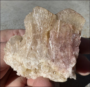 ~NEW~ Trona Specimen from Inyo Co. CA - Protection, Purification