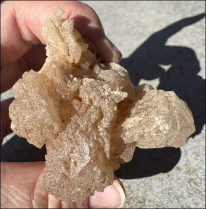 ~NEW~ Trona Specimen from Inyo Co. CA - Protection, Purification