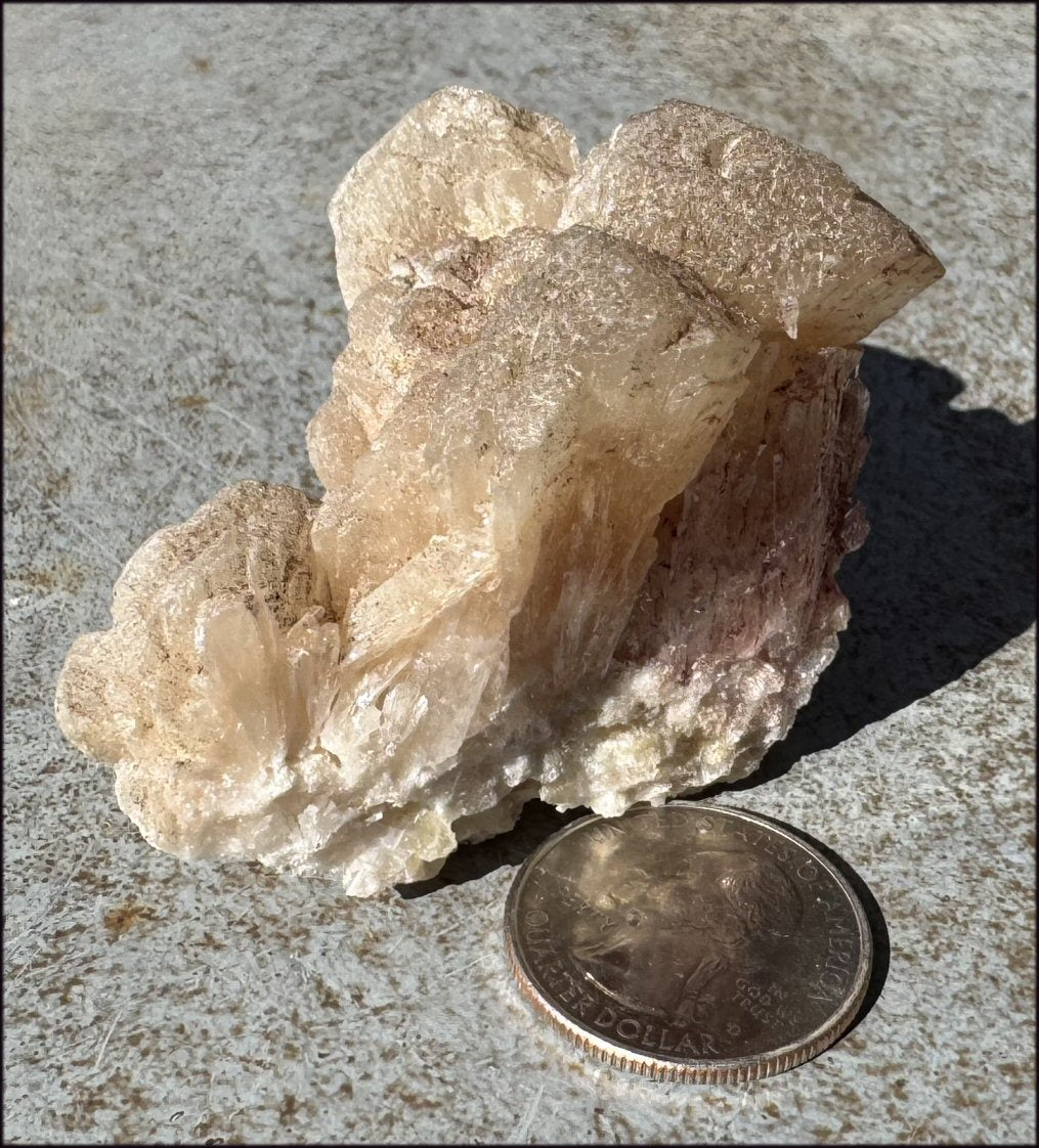 ~NEW~ Trona Specimen from Inyo Co. CA - Protection, Purification