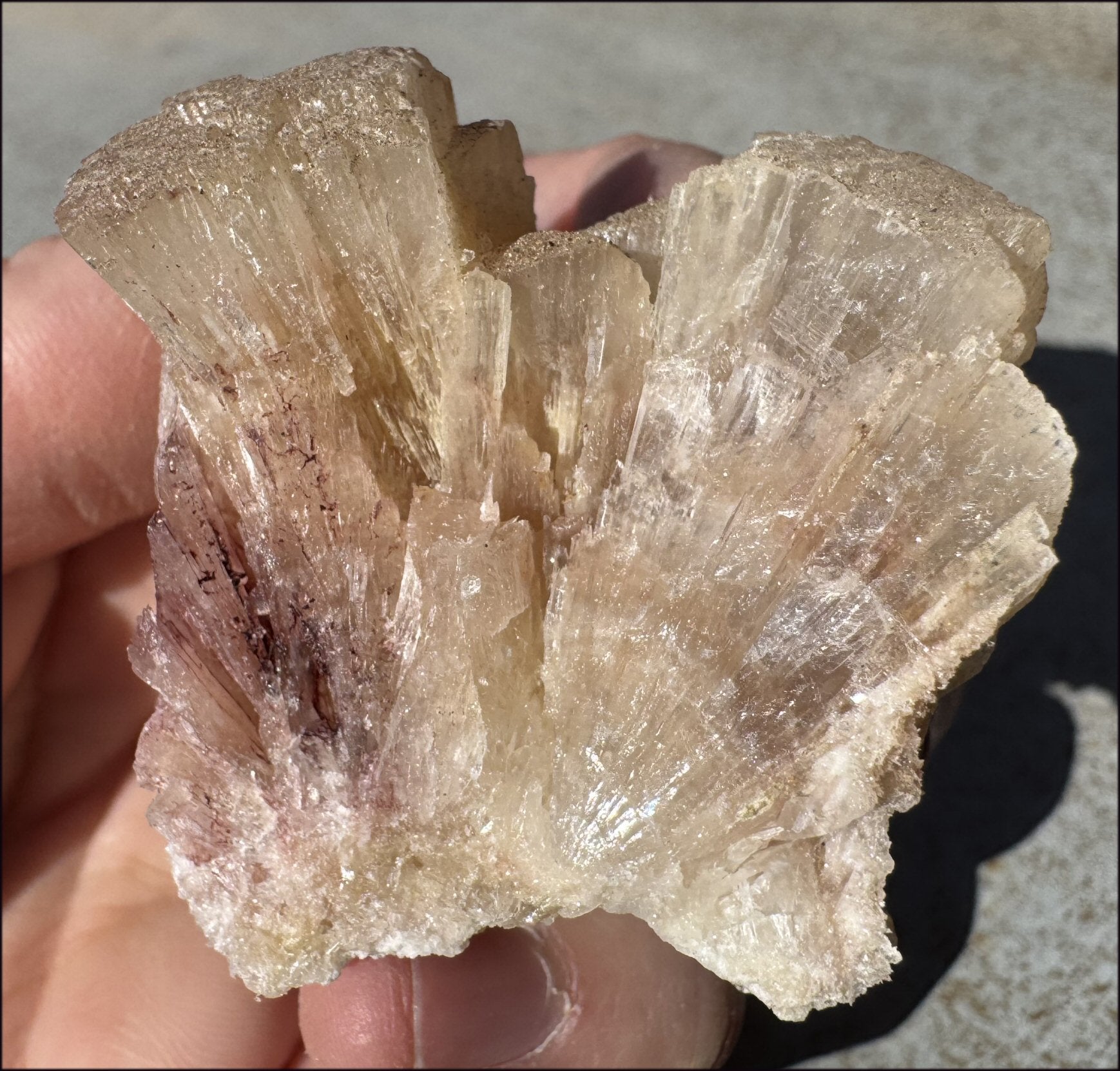 ~NEW~ Trona Specimen from Inyo Co. CA - Protection, Purification