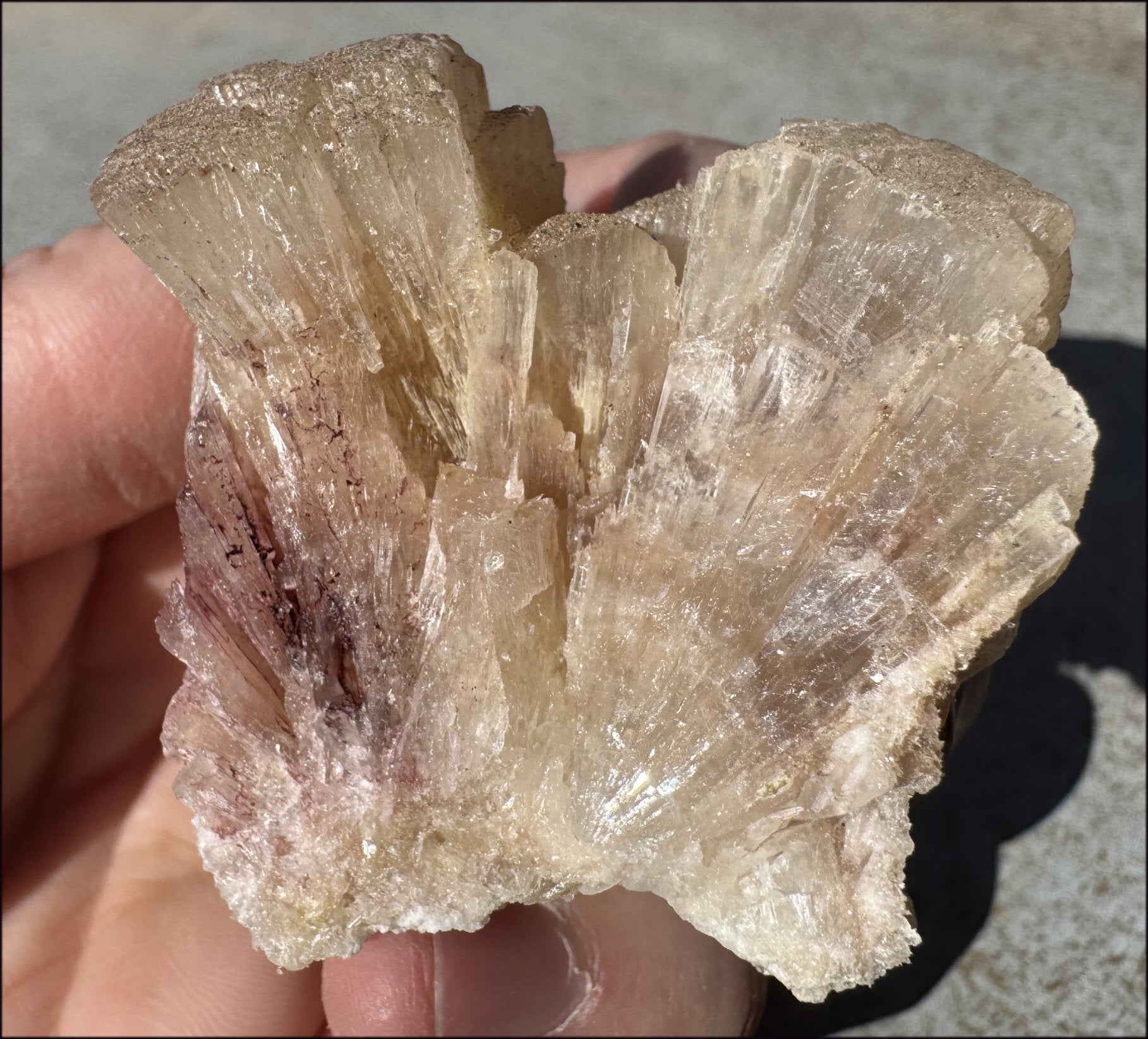 ~NEW~ Trona Specimen from Inyo Co. CA - Protection, Purification