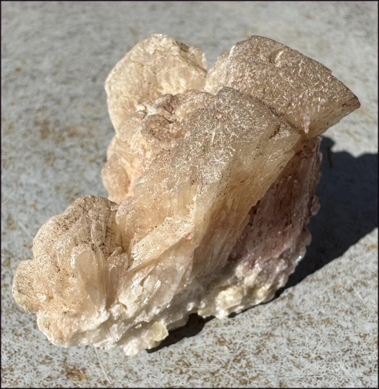 ~NEW~ Trona Specimen from Inyo Co. CA - Protection, Purification