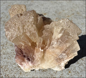 ~NEW~ Trona Specimen from Inyo Co. CA - Protection, Purification