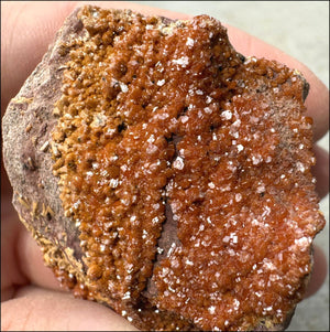 Moroccan VANADINITE Specimen with Cool Dendrites - Root Chakra, Harmony