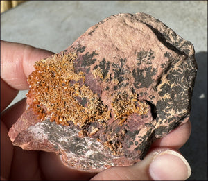 Moroccan VANADINITE Specimen with Cool Dendrites - Root Chakra, Harmony