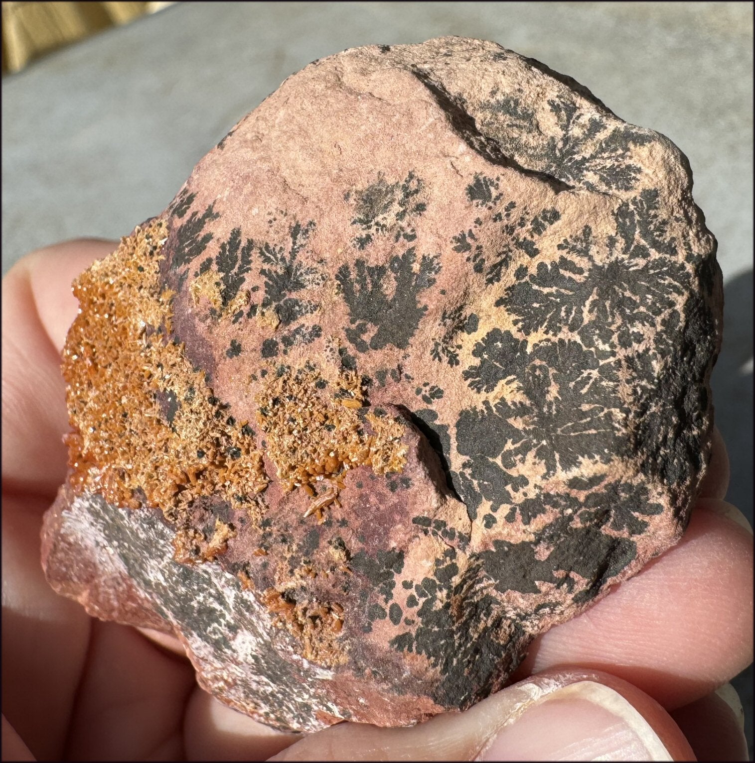 Moroccan VANADINITE Specimen with Cool Dendrites - Root Chakra, Harmony