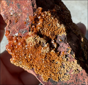 Moroccan VANADINITE Specimen with Cool Dendrites - Root Chakra, Harmony