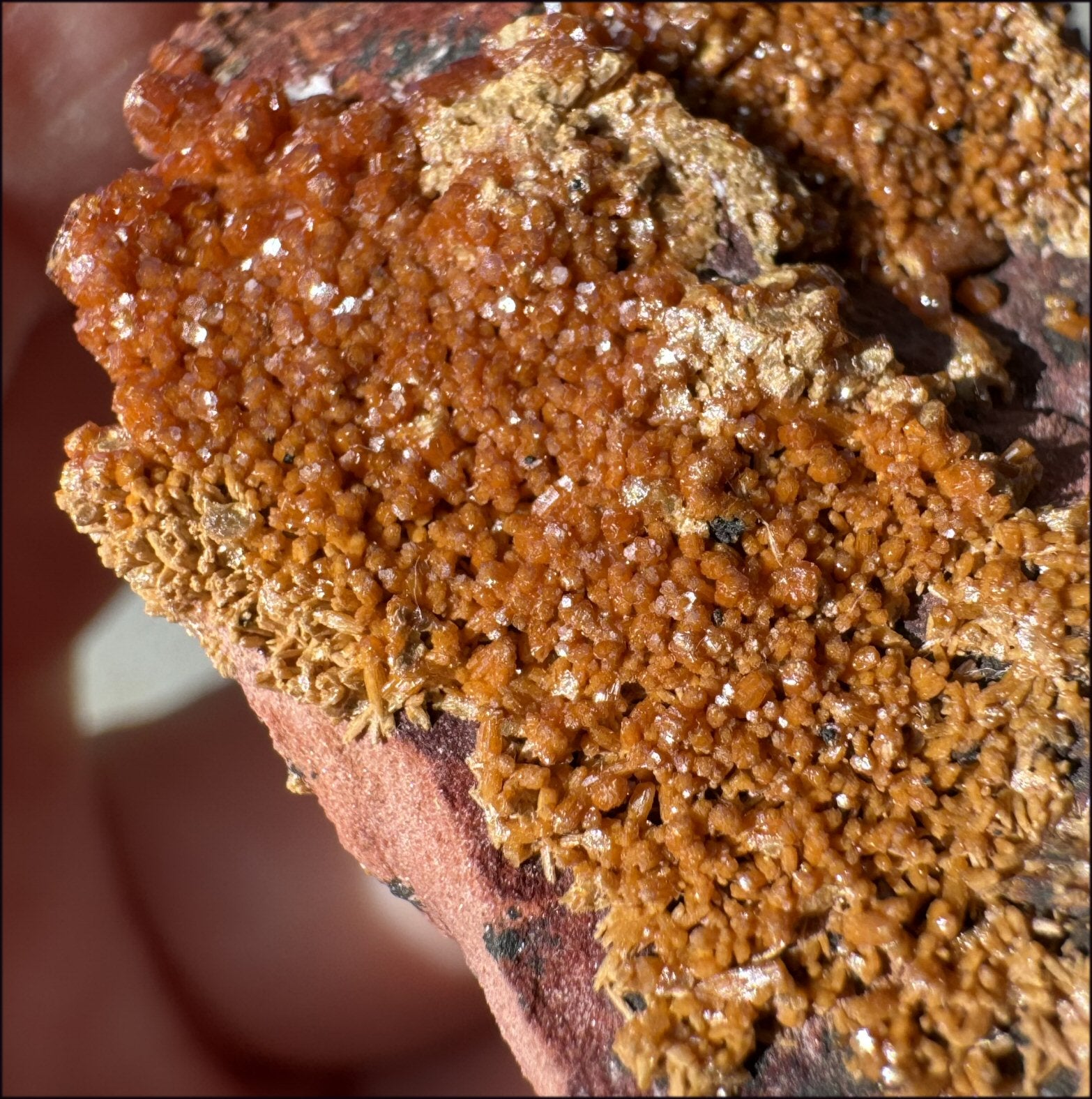 Moroccan VANADINITE Specimen with Cool Dendrites - Root Chakra, Harmony