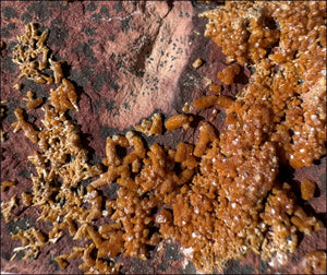 Moroccan VANADINITE Specimen with Cool Dendrites - Root Chakra, Harmony