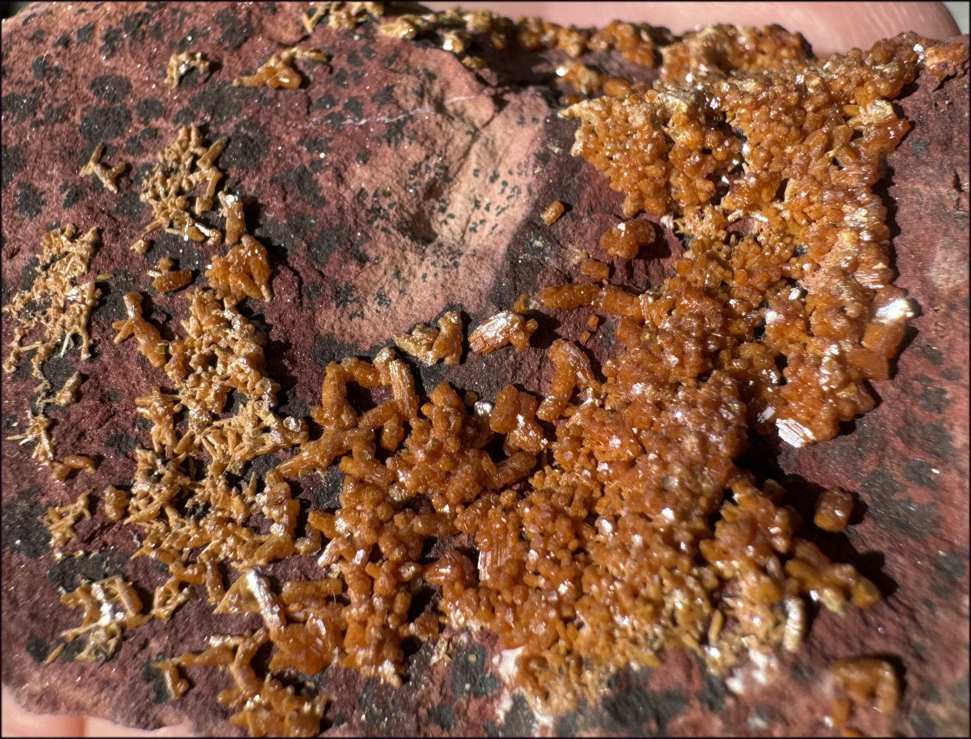 Moroccan VANADINITE Specimen with Cool Dendrites - Root Chakra, Harmony