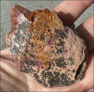 Moroccan VANADINITE Specimen with Cool Dendrites - Root Chakra, Harmony