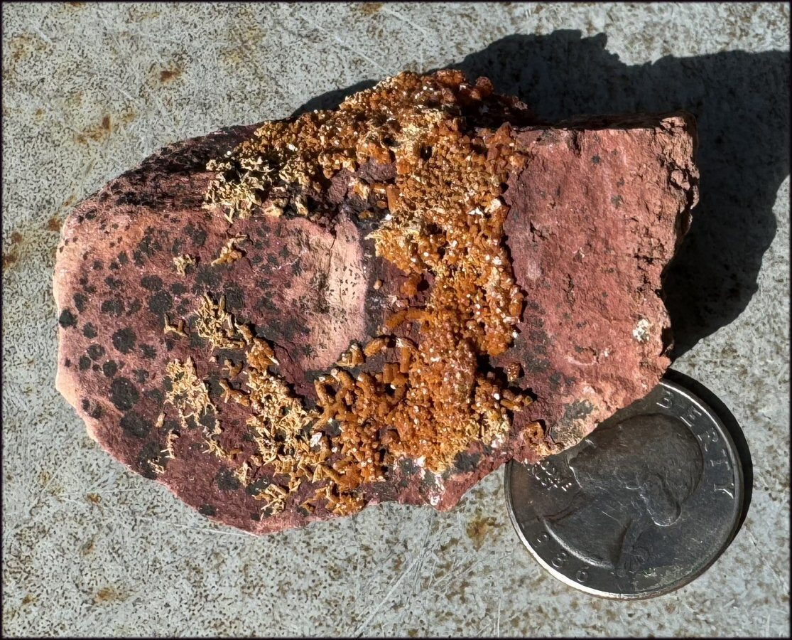 Moroccan VANADINITE Specimen with Cool Dendrites - Root Chakra, Harmony