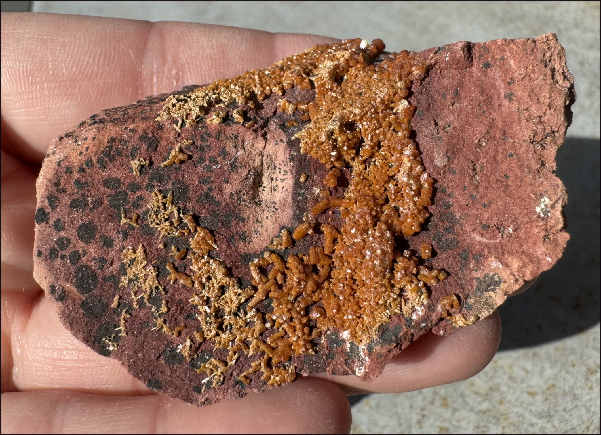 Moroccan VANADINITE Specimen with Cool Dendrites - Root Chakra, Harmony