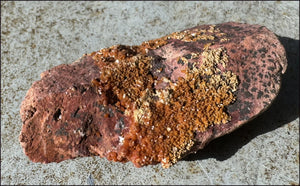 Moroccan VANADINITE Specimen with Cool Dendrites - Root Chakra, Harmony